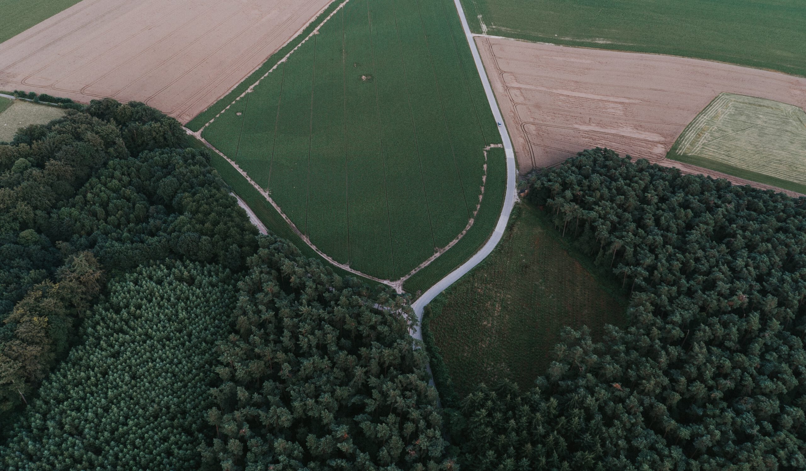 antoine-pirard-AS-gm4WspIA-unsplash antoine-pirard-AS-gm4WspIA-unsplash